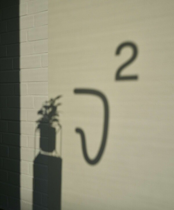 Das Logo "J&sup2;" und eine Pflanze werfen Schatten auf eine wei&szlig;e Wand.