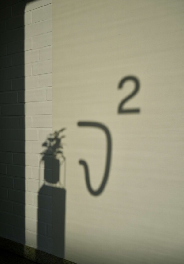 Impressionen aus der Praxis. "J2" Logo-Schatten und Schatten einer Pflanze an einer Wand.